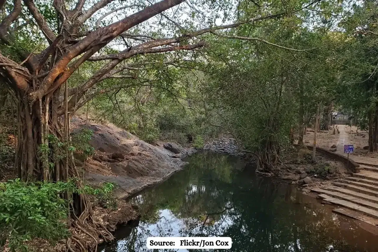 How dumping of Iron ore in and around Bhagwan Mahavir Wildlife Sanctuary is impacting ecology?