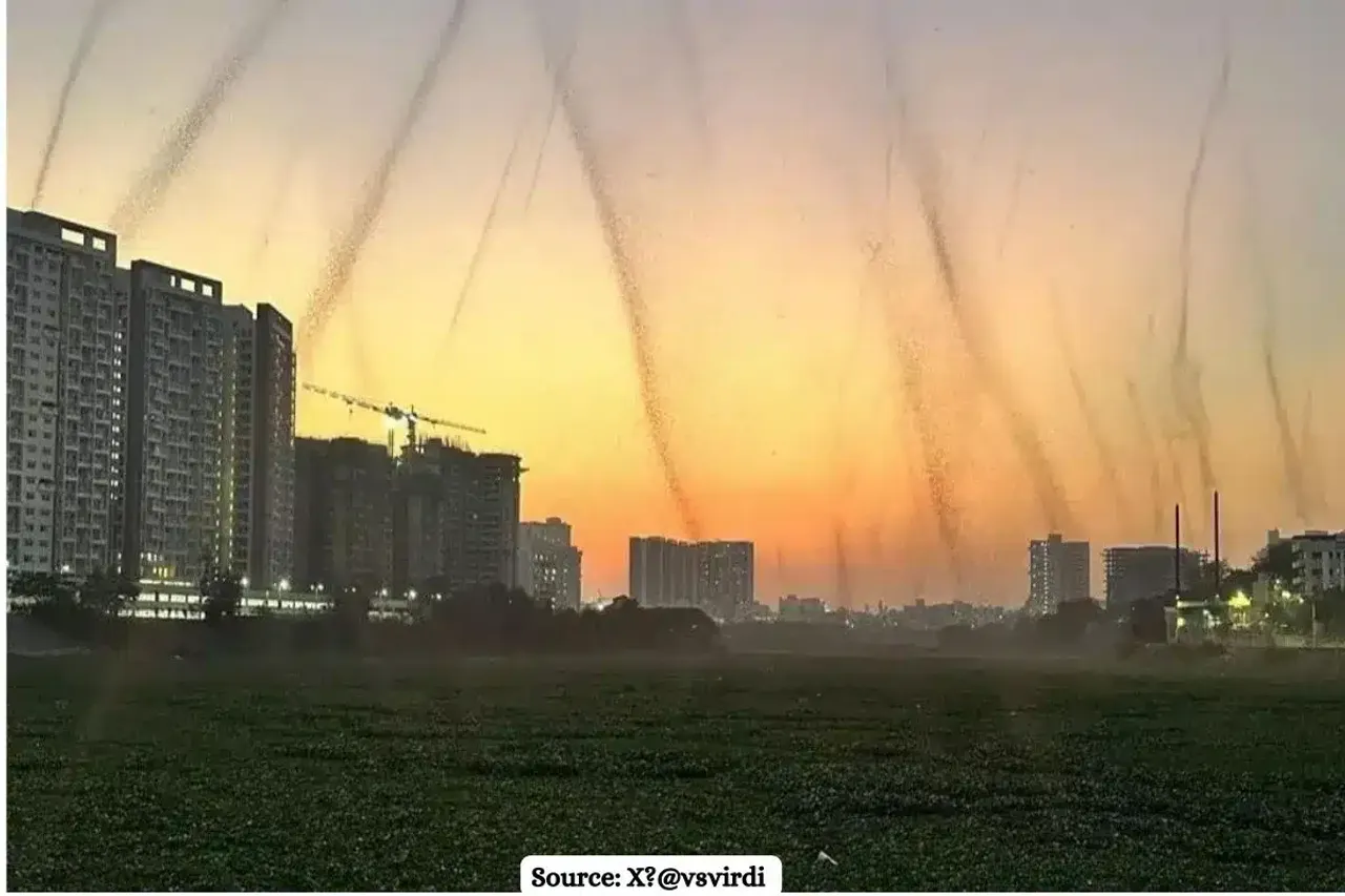 How Pune’s Mila Mutha River created a mosquito tornado?