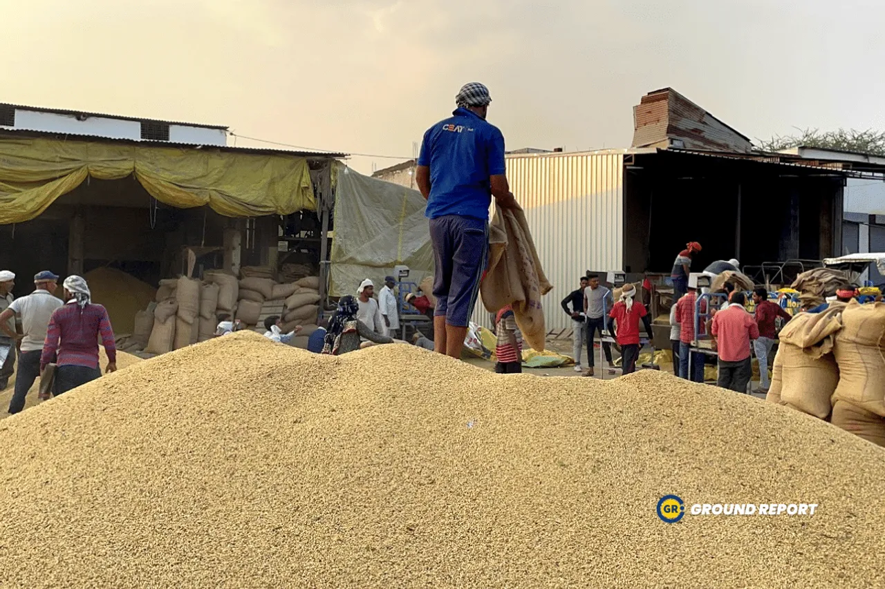 MSP Formula farmers demanding