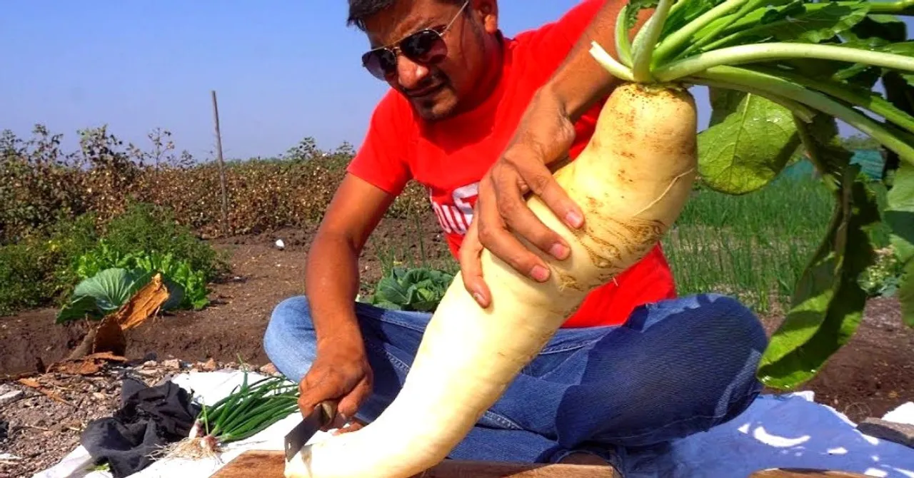 Cooking Show in Farm