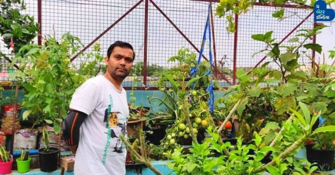 Grow Tomato in Bottle