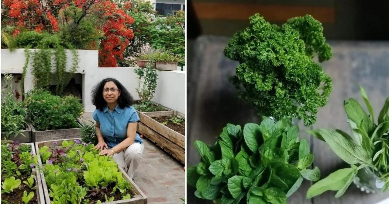 Chutney Garden