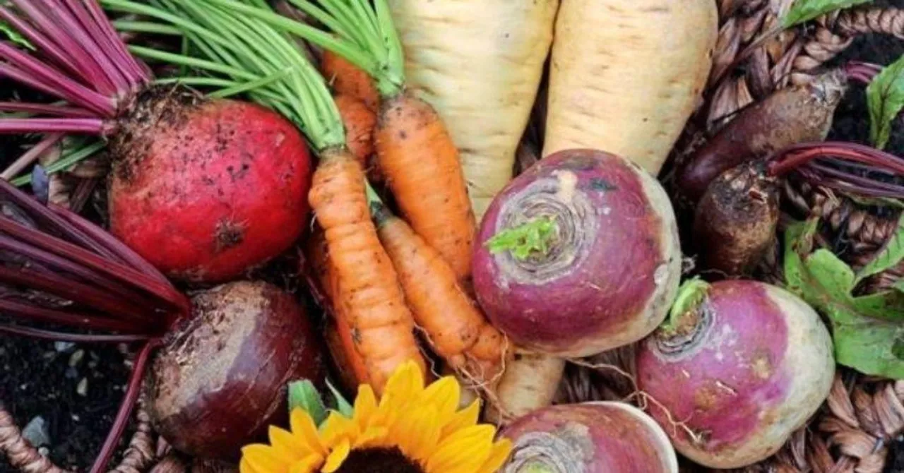 November Gardening