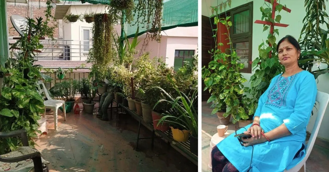 Terrace Gardening