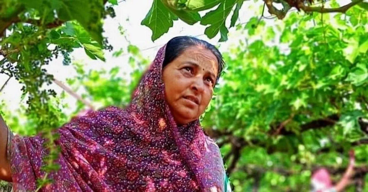 Lady Farmer