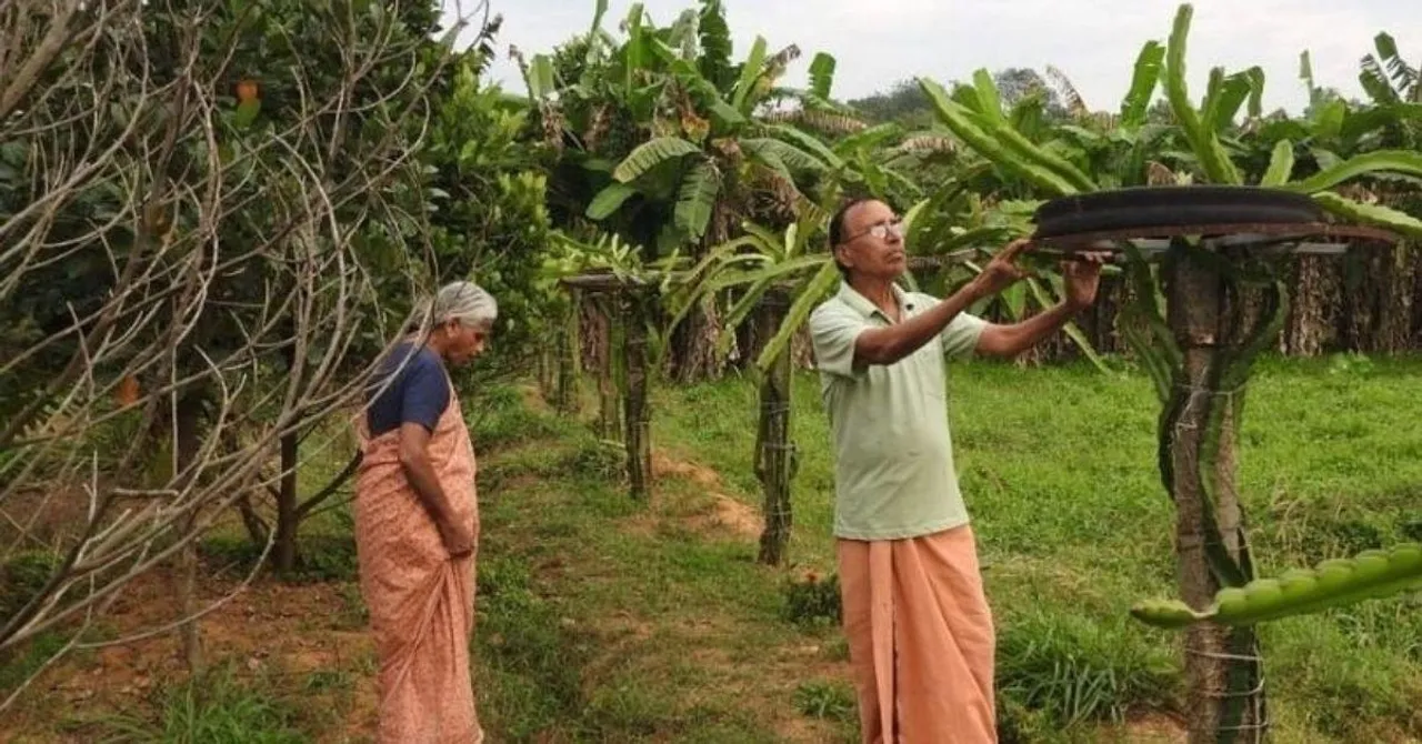 Organic Farming