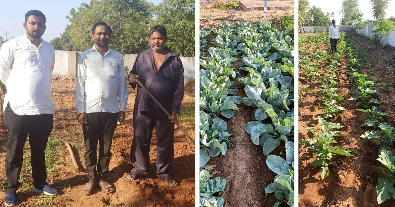 Kitchen garden