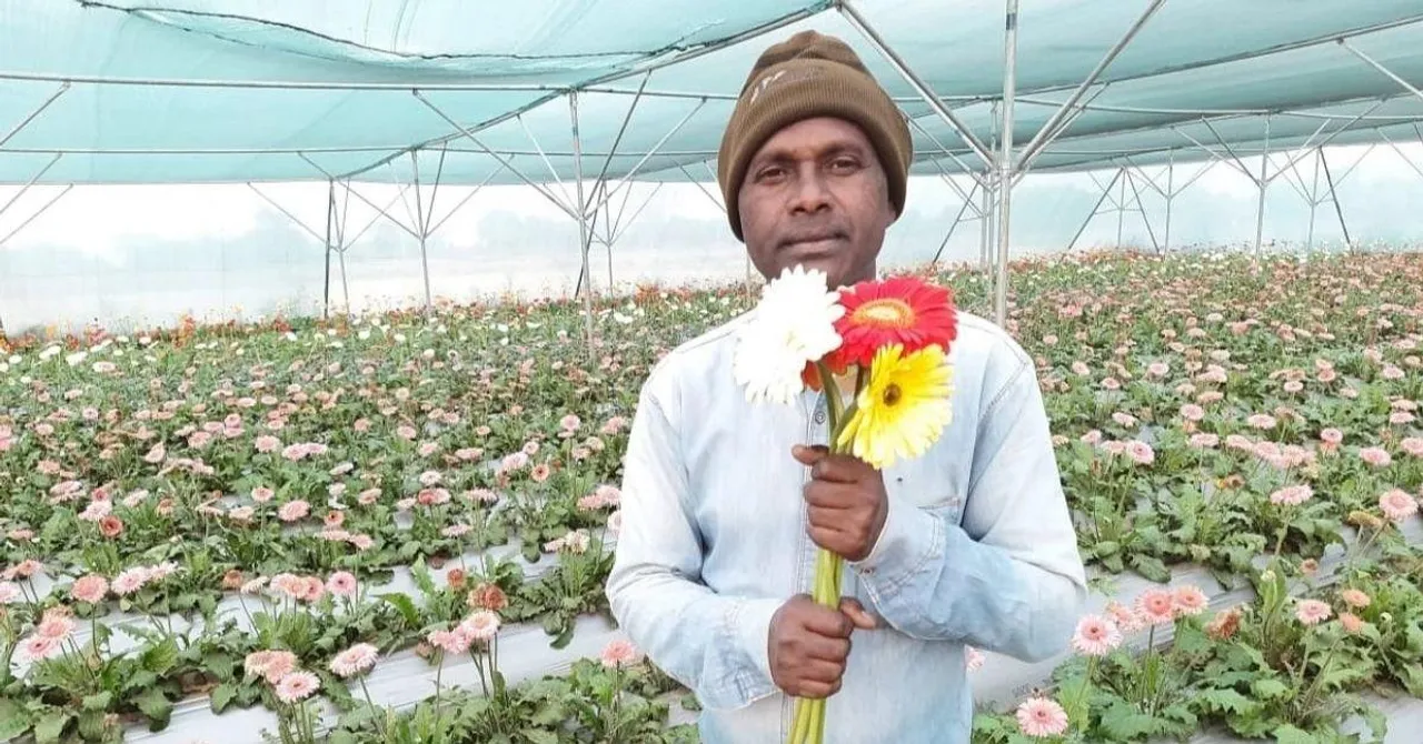 Organic Farming