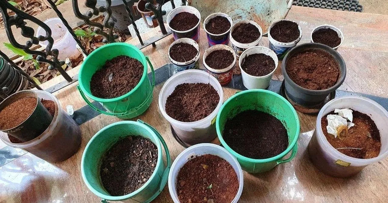 Compost making
