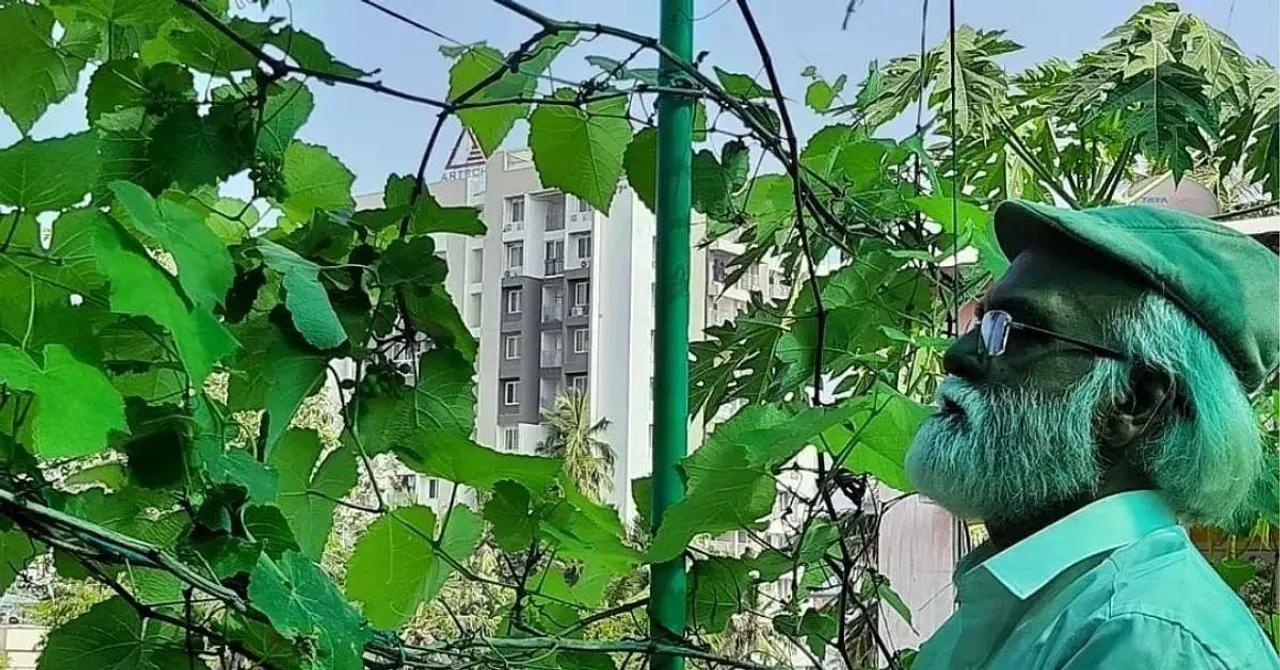 Gardening