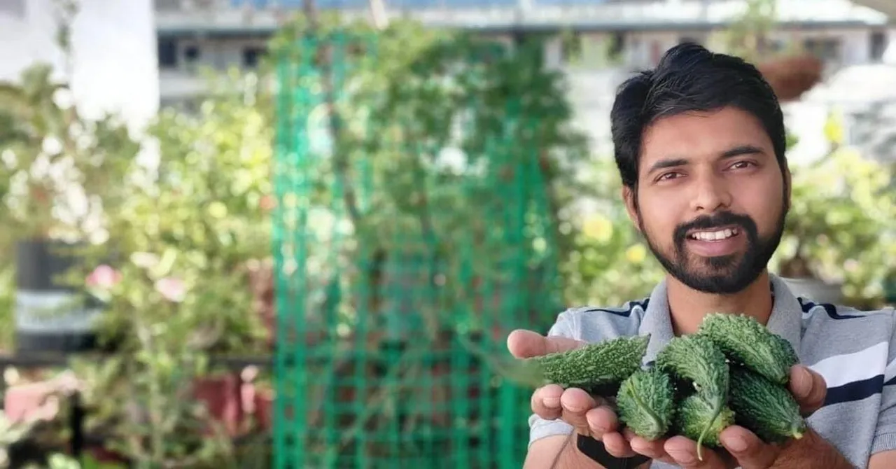 Grow karela