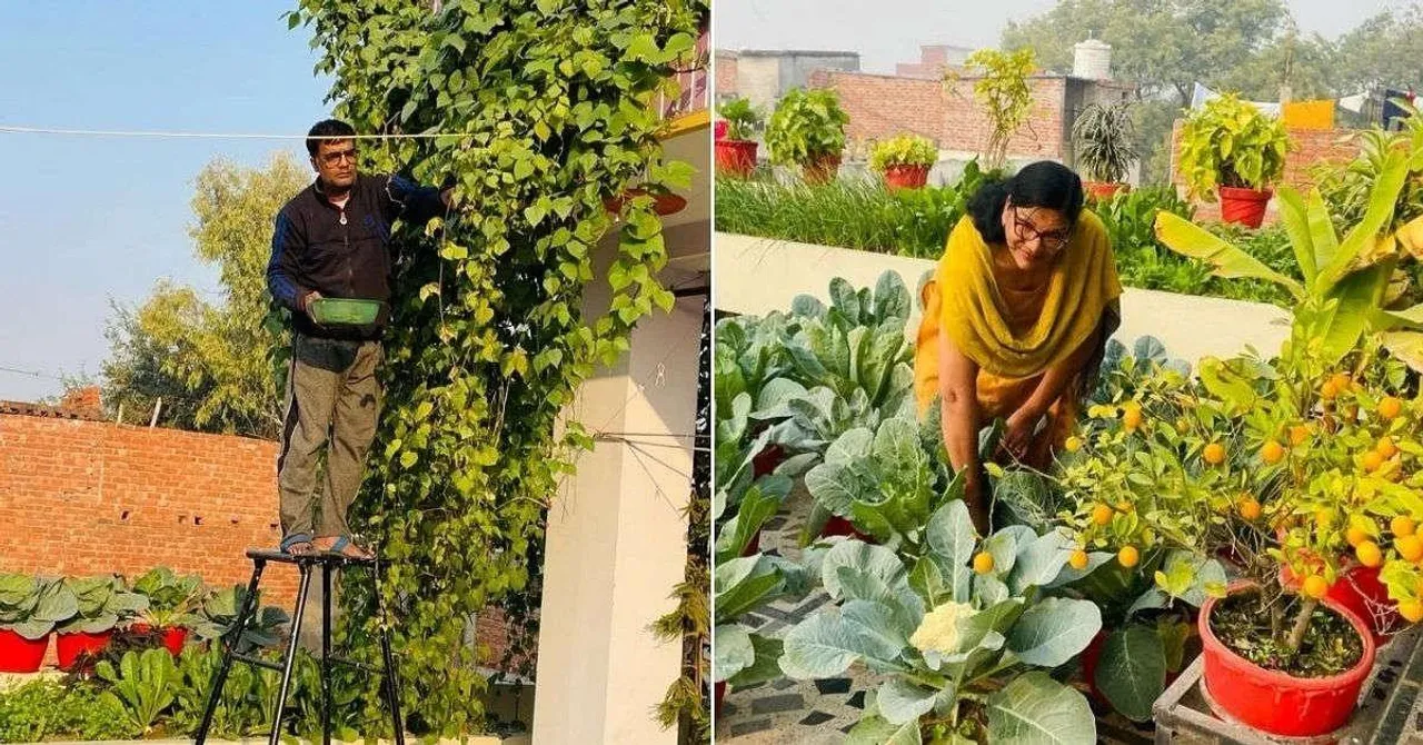 Gardening