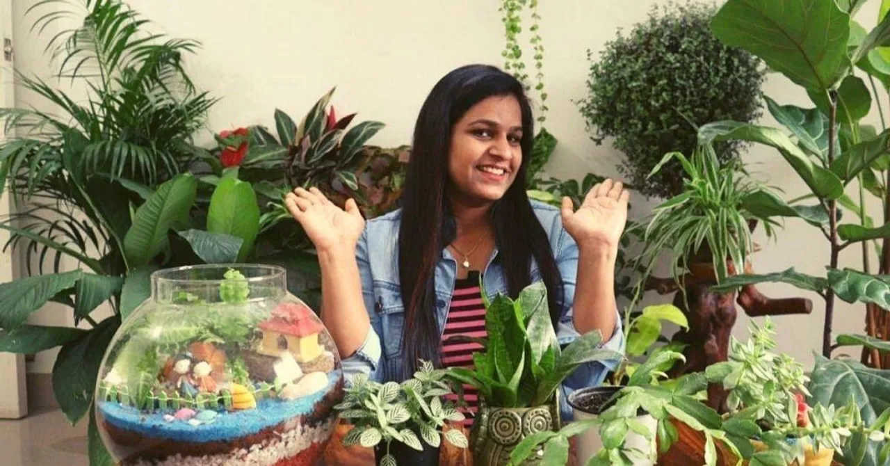 Grow Indoor Plants
