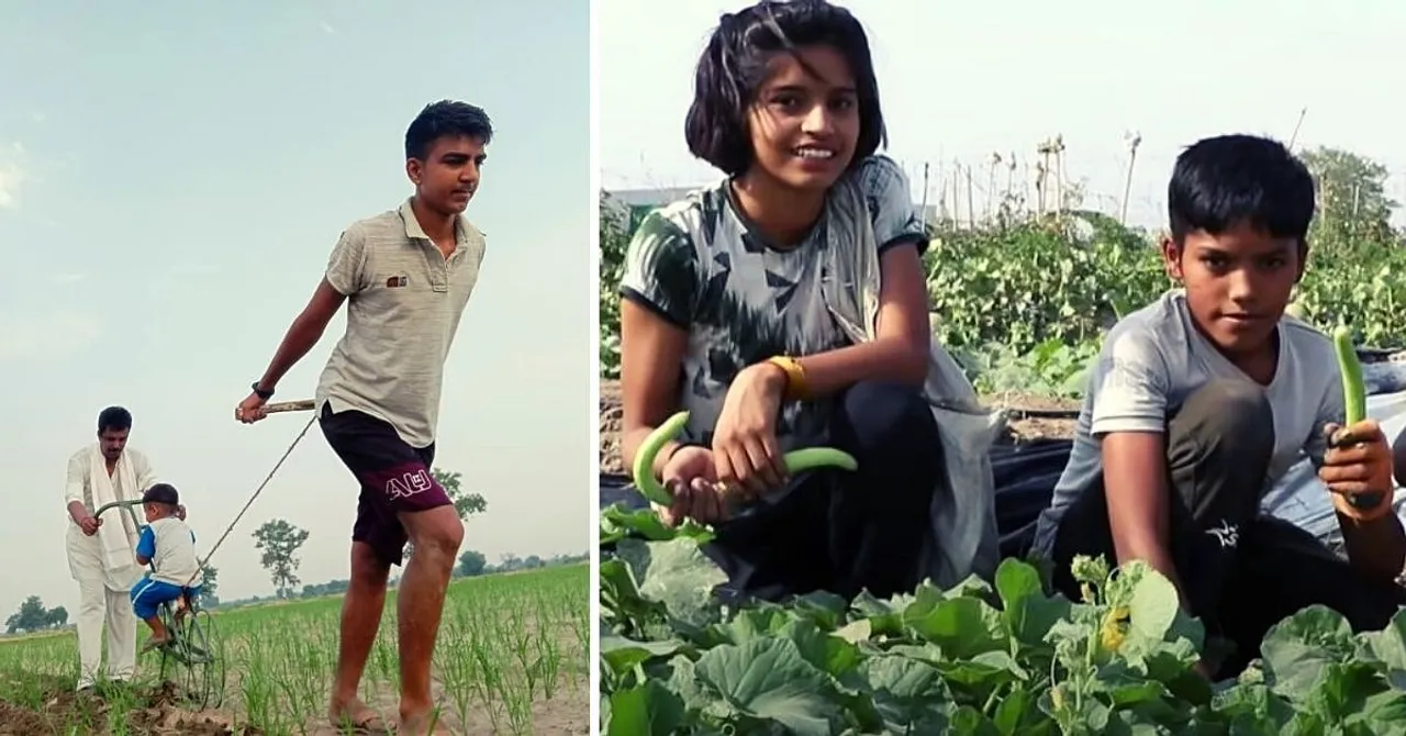 Organic Farming