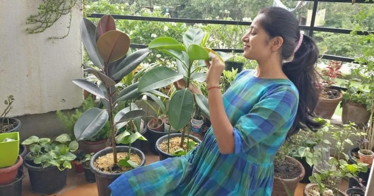 Balcony Gardening