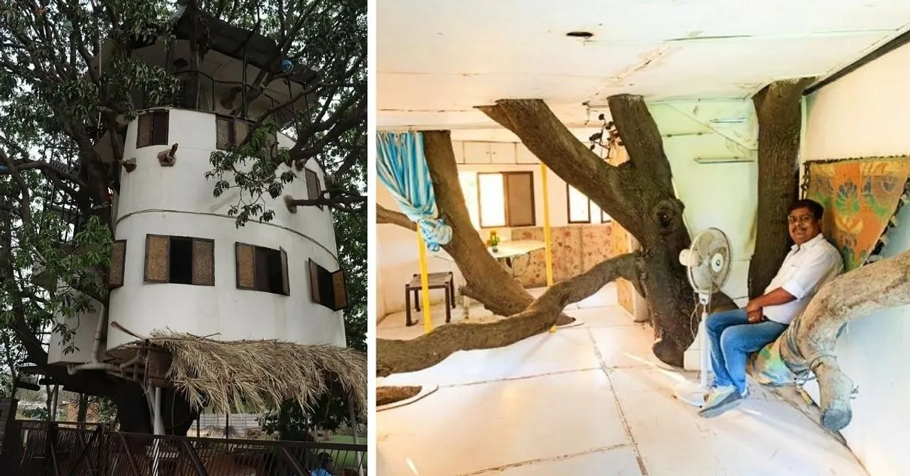 Tree House