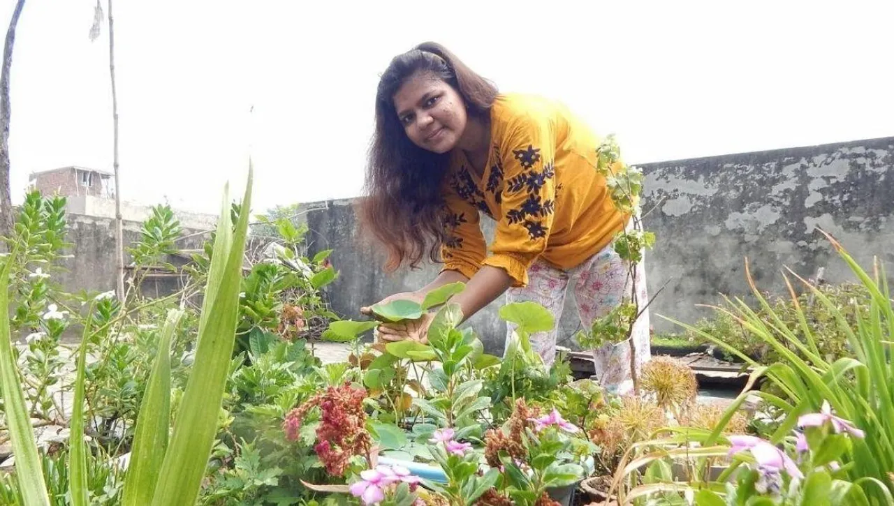 Terrace Gardening