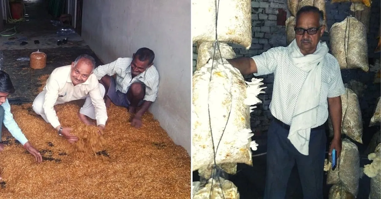 Mushroom Business