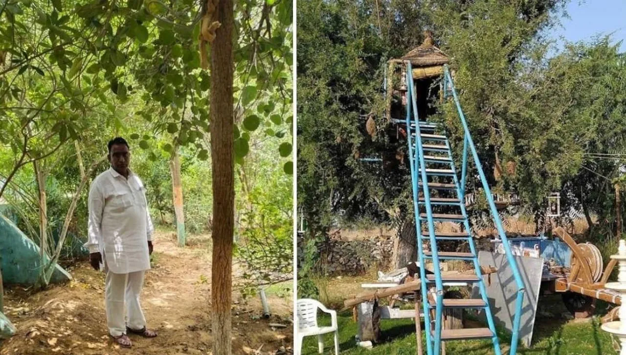 Tree House