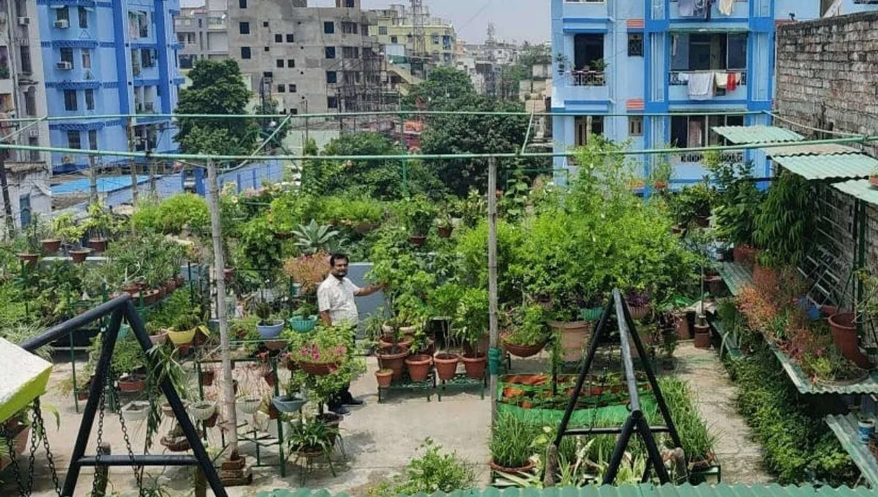 Terrace Gardening