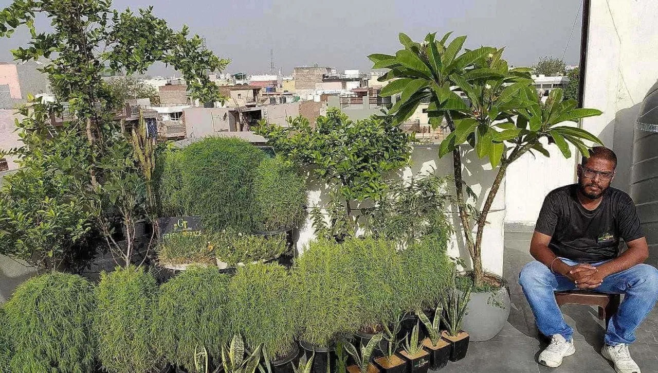 Terrace Gardening Tips
