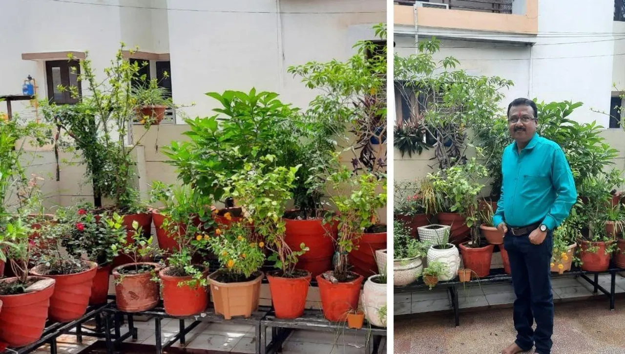 Low Budget Garden