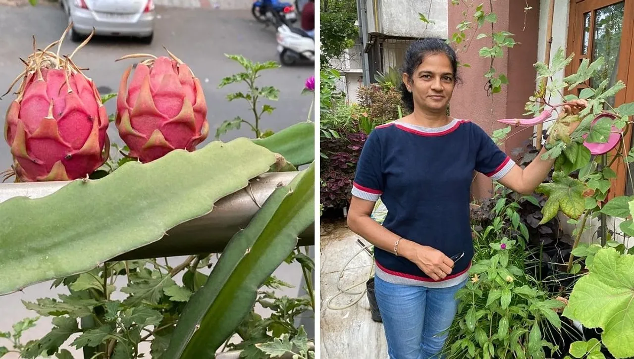 Tips For Terrace Gardening By Anupama
