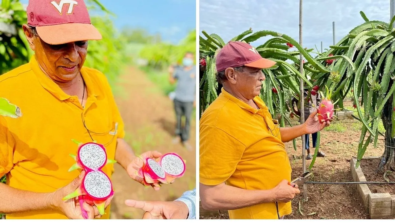 Jaswant Patel Dragon Fruit Cultivator