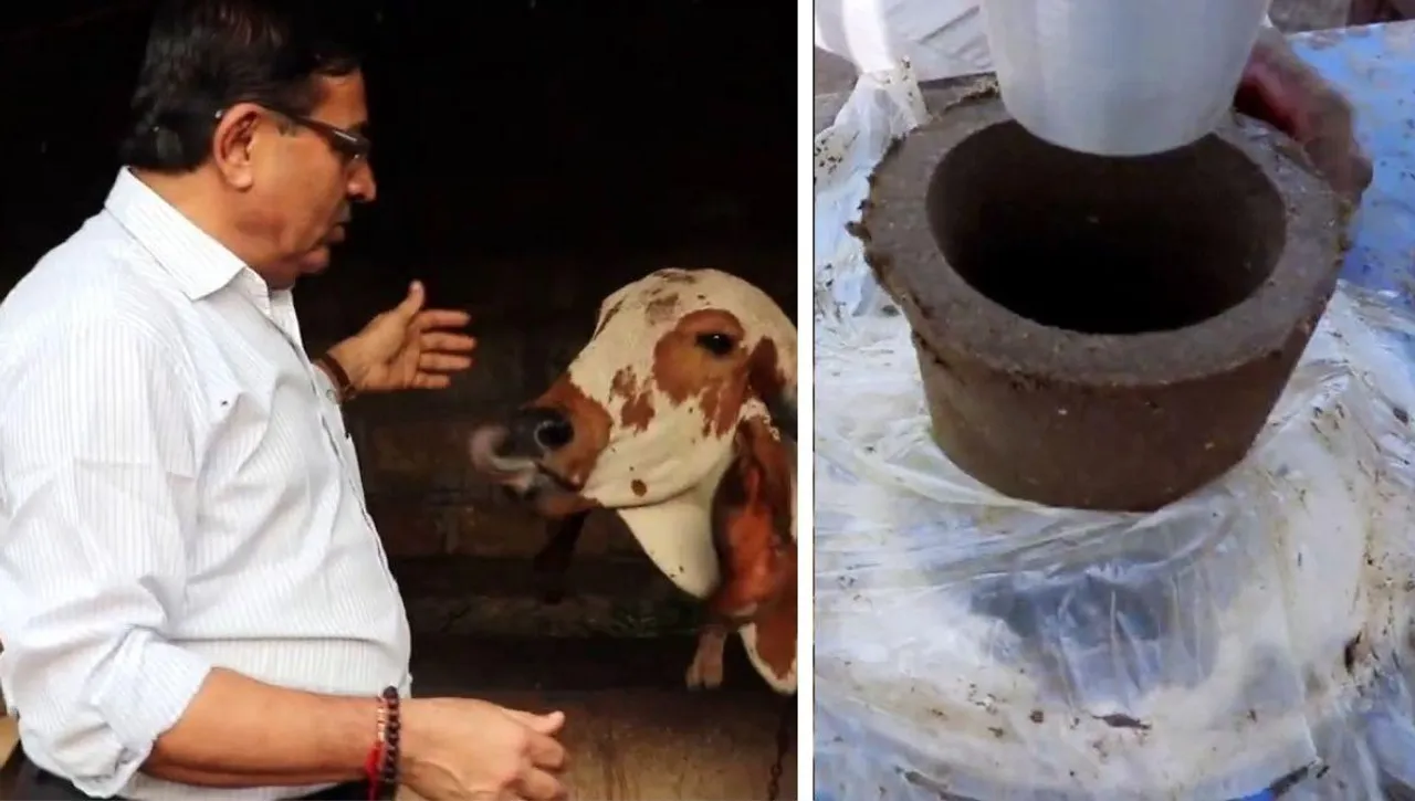 Cow Dung Products Business