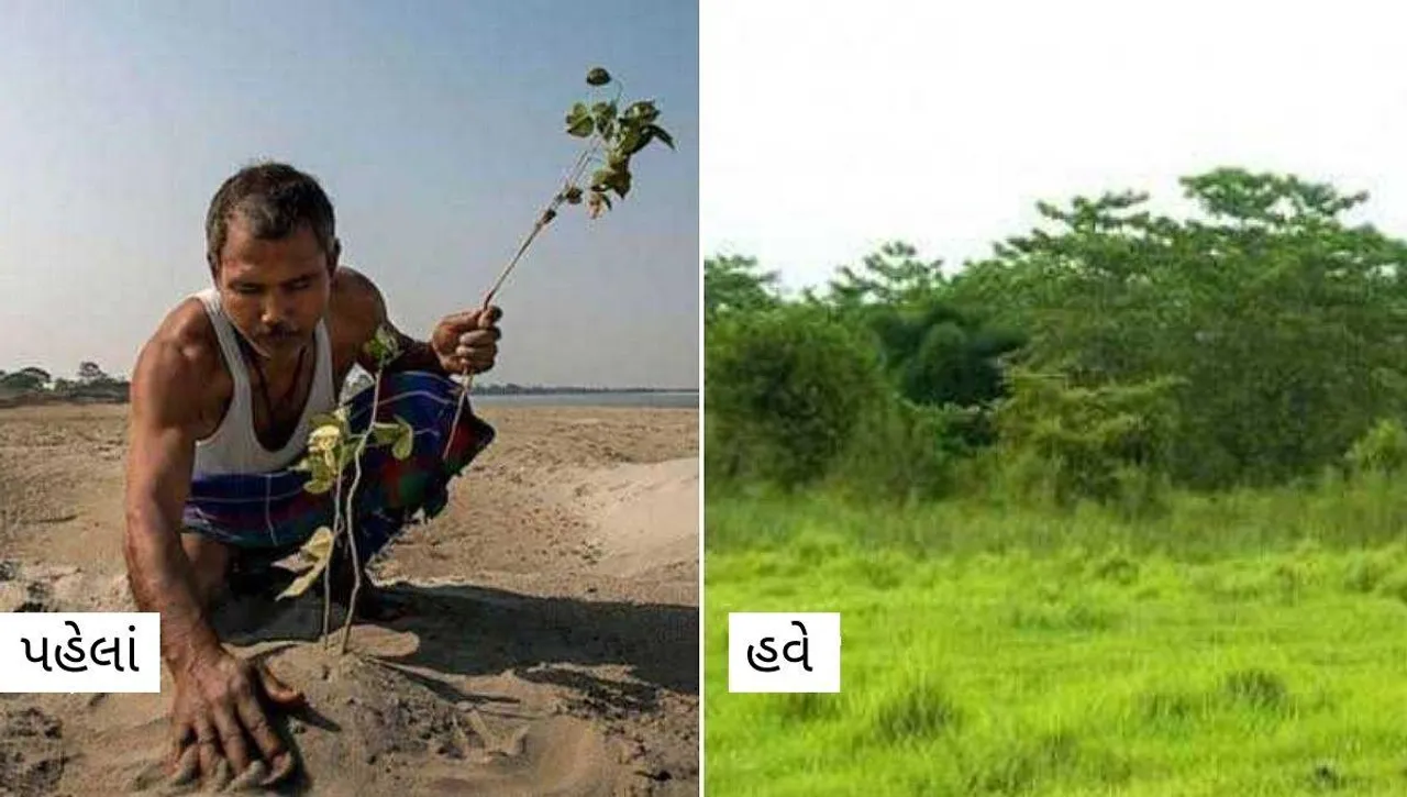Forest Man Of India