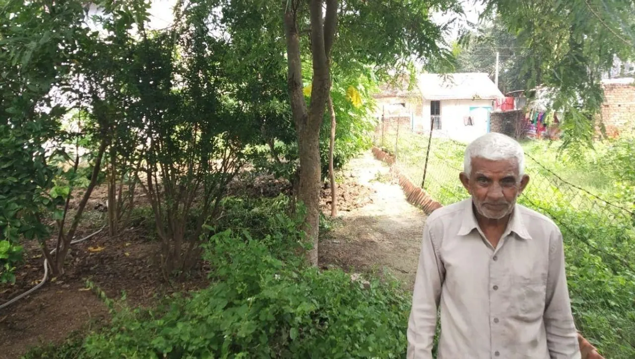 Tree Plantation Drive