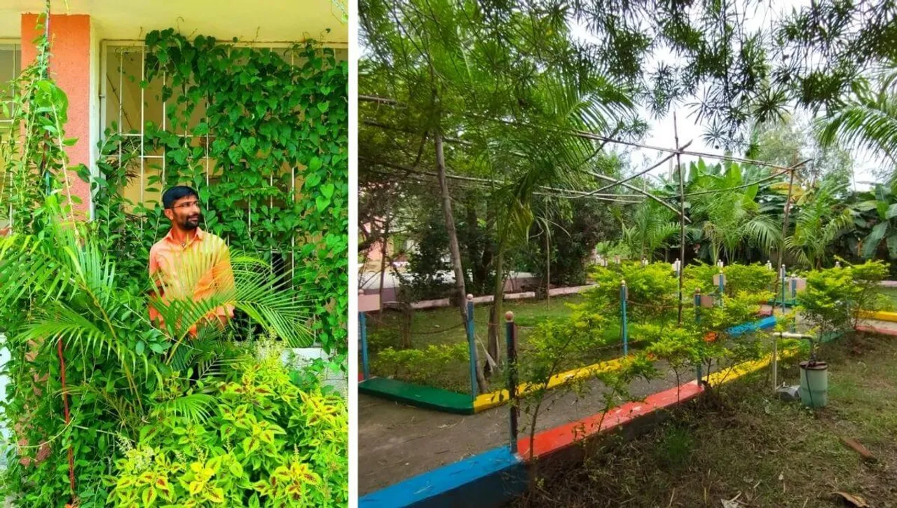 Garden Ideas