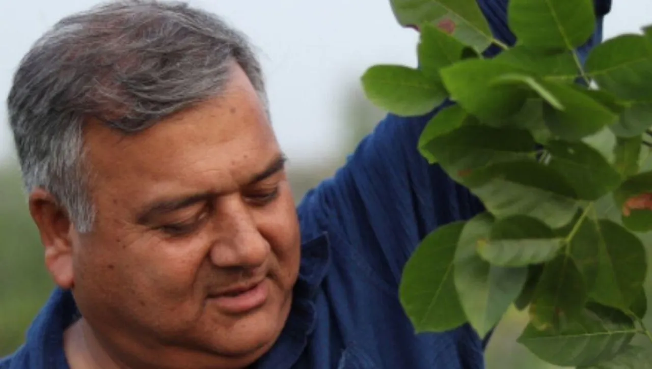 Tree Man Peepal Baba
