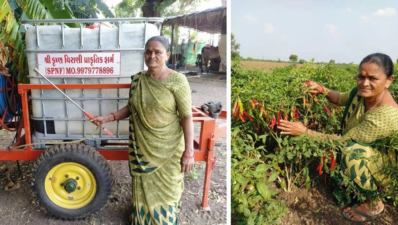 Organic Farming In Gujarat