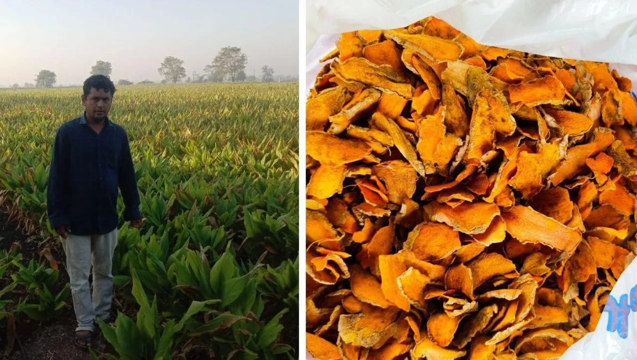 Organic Farming In Gujarat