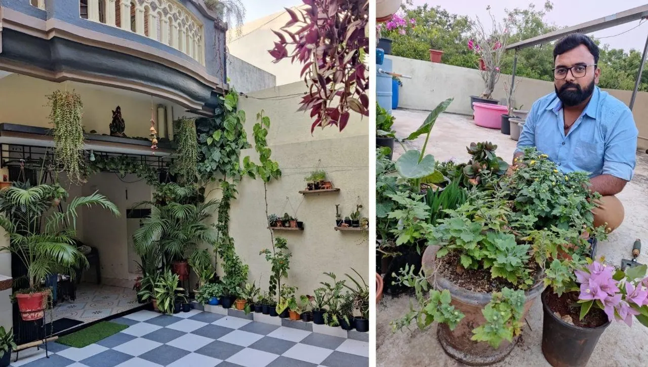 Home Gardening