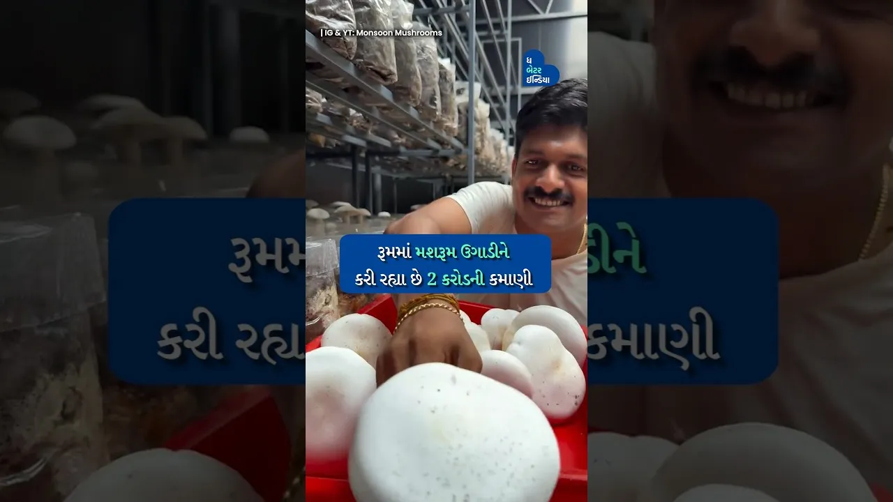 રૂમમાં મશરૂમ ઉગાડવાથી લઈને 2 કરોડની કમાણી સુધી | Mashrooms Farming in Room | Kerala | Indoor