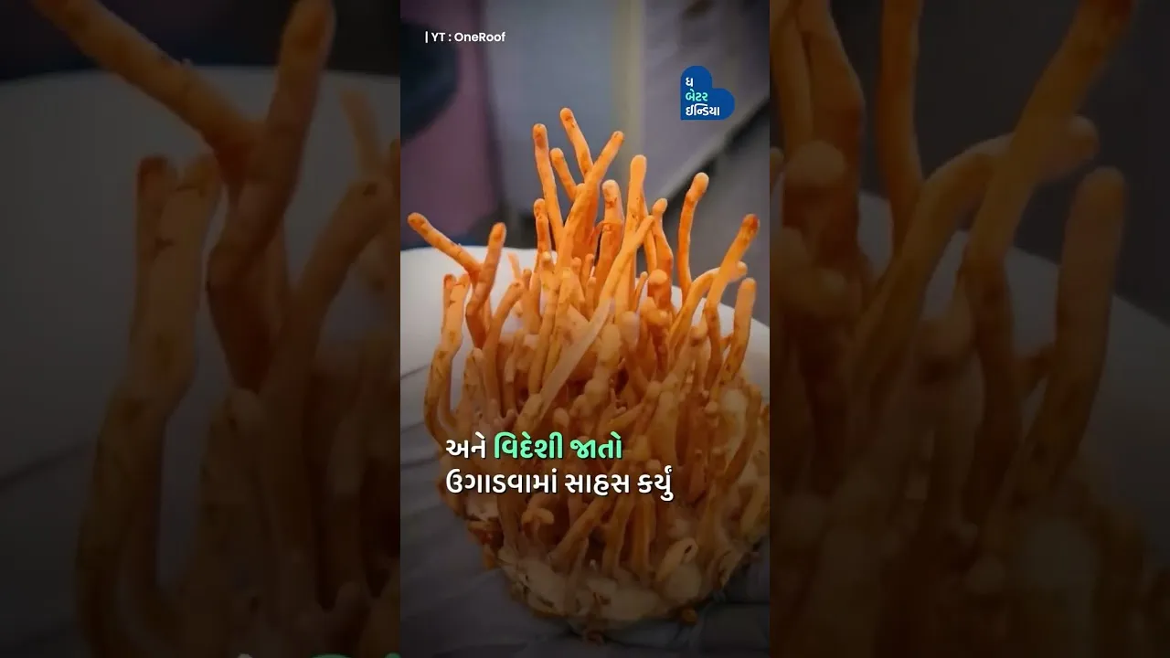 આ મહિલા સોનું ઉગાડે છે - ખેતરોમાં નહીં, પણ પોતાના રૂમમાં! | Mushroom farming