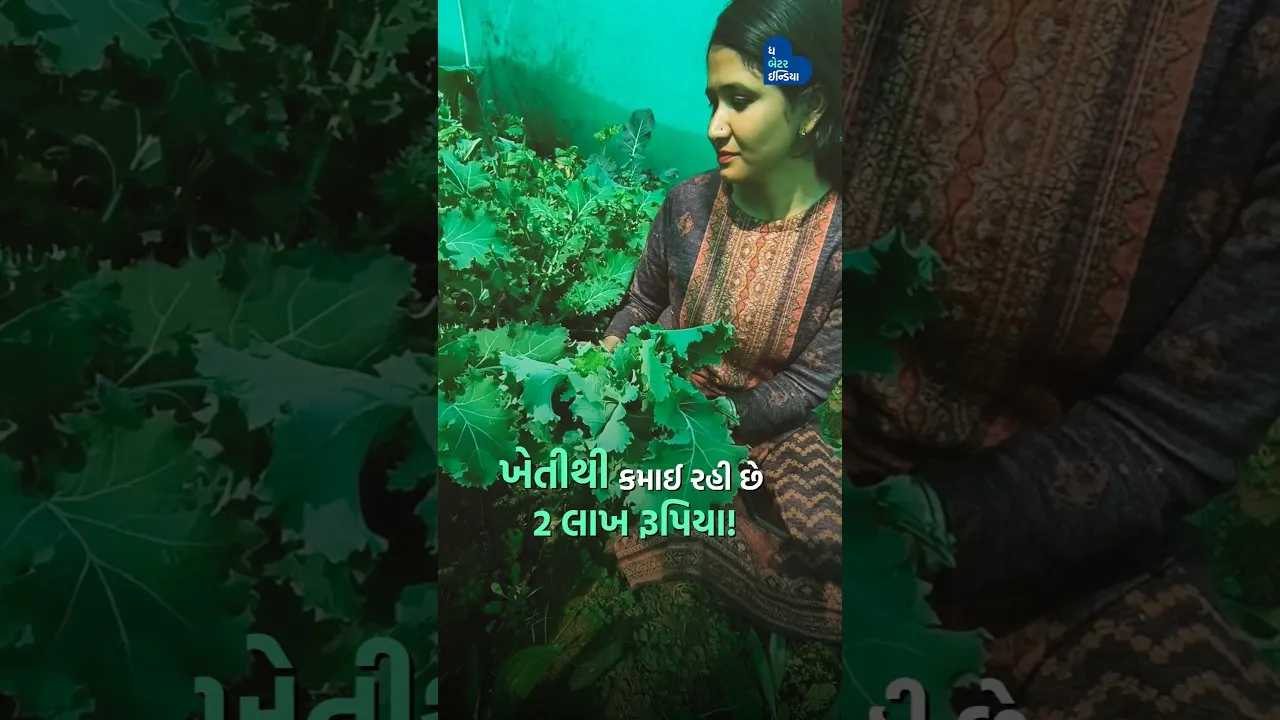 ઘરની દીવાલ પર સ્ટ્રોબેરી ઉગાવીને કમાયા 70 હજાર | Strawberry Farming| Bharti Bhuriya