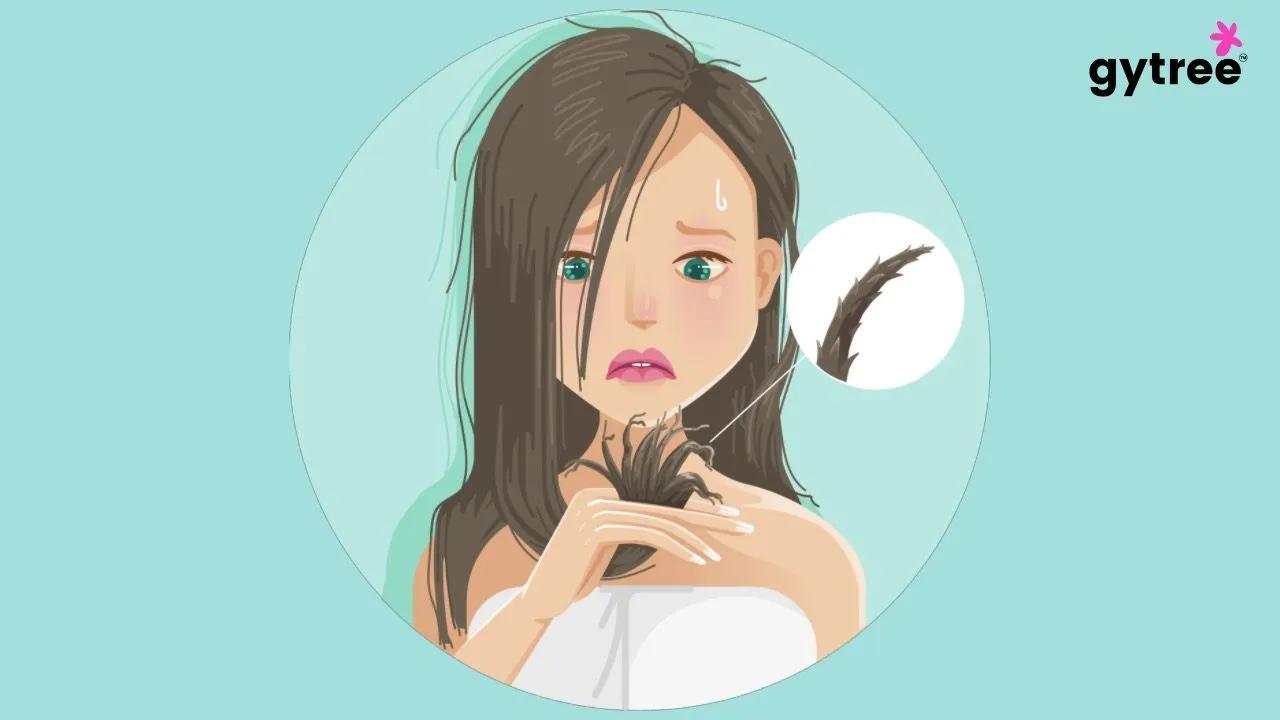Why do I have split end?