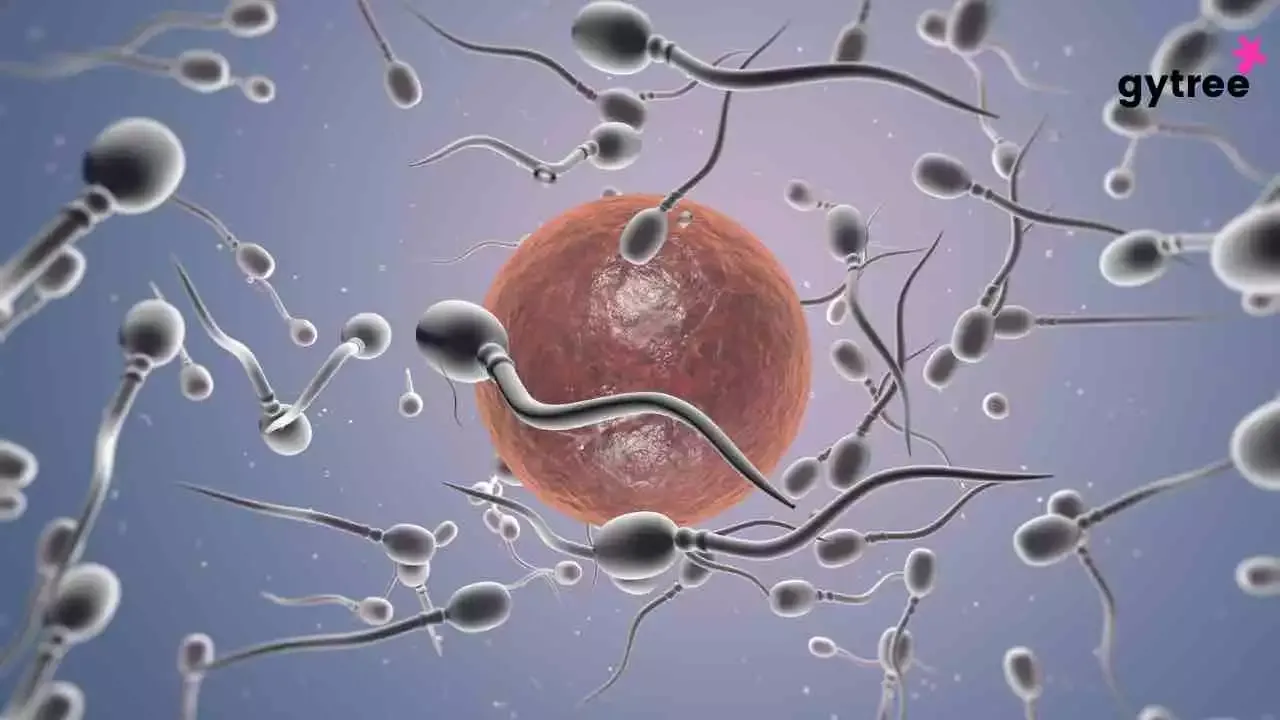 Hysterectomy: What happens to eggs after uterus is removed?