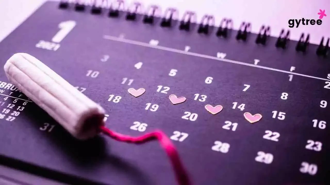 4 Phases of Menstrual cycle