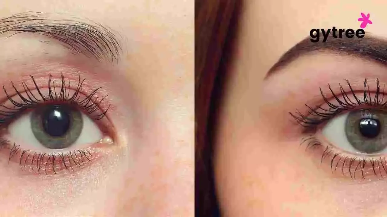 How to Get Thick Eyebrows naturally