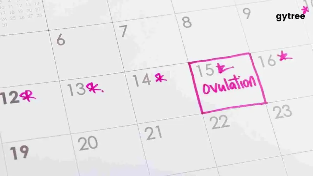 Master Your Ovulation Period for Pregnancy in 6 Amazing Ways