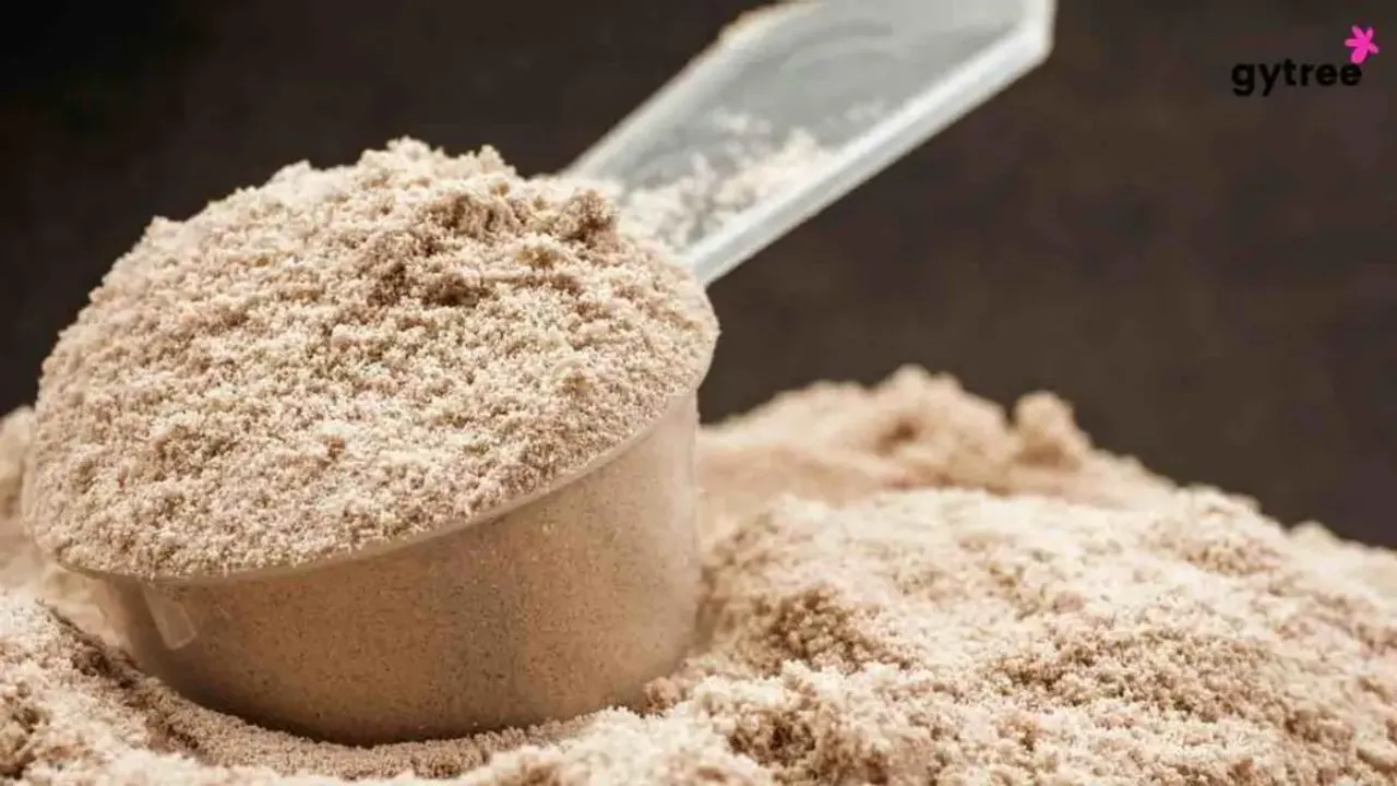 Why Plant Proteins are the New Go-To for Modern Working Women