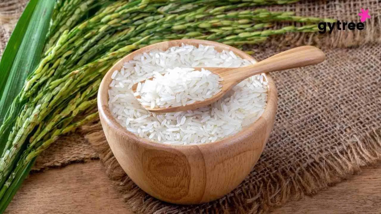 The Debate on White Rice: Pros, Cons, and Healthier Alternatives