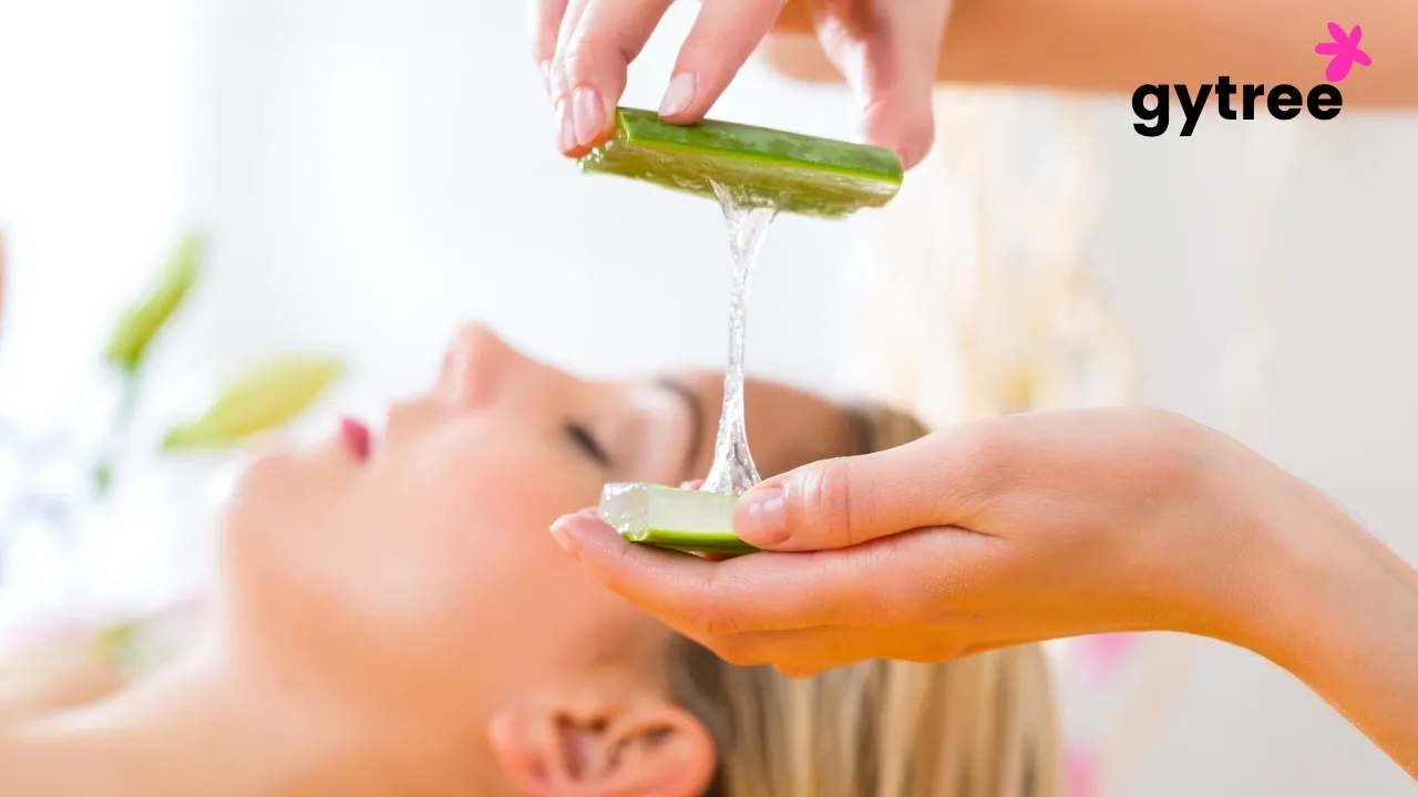 Aloe Vera- Know Why and How to Harness the healing power of this Green Miracle Leaf!