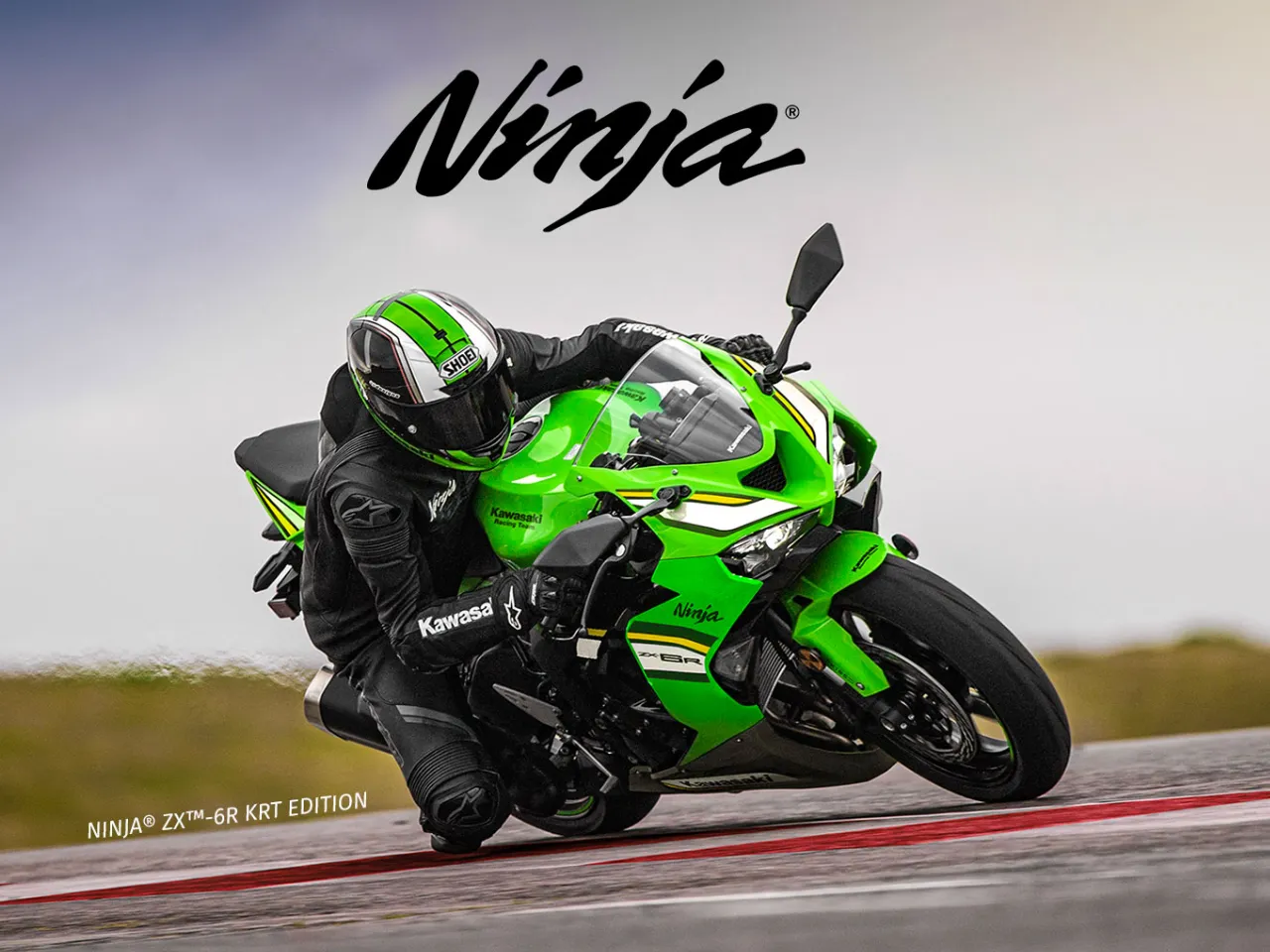 ninja lineup