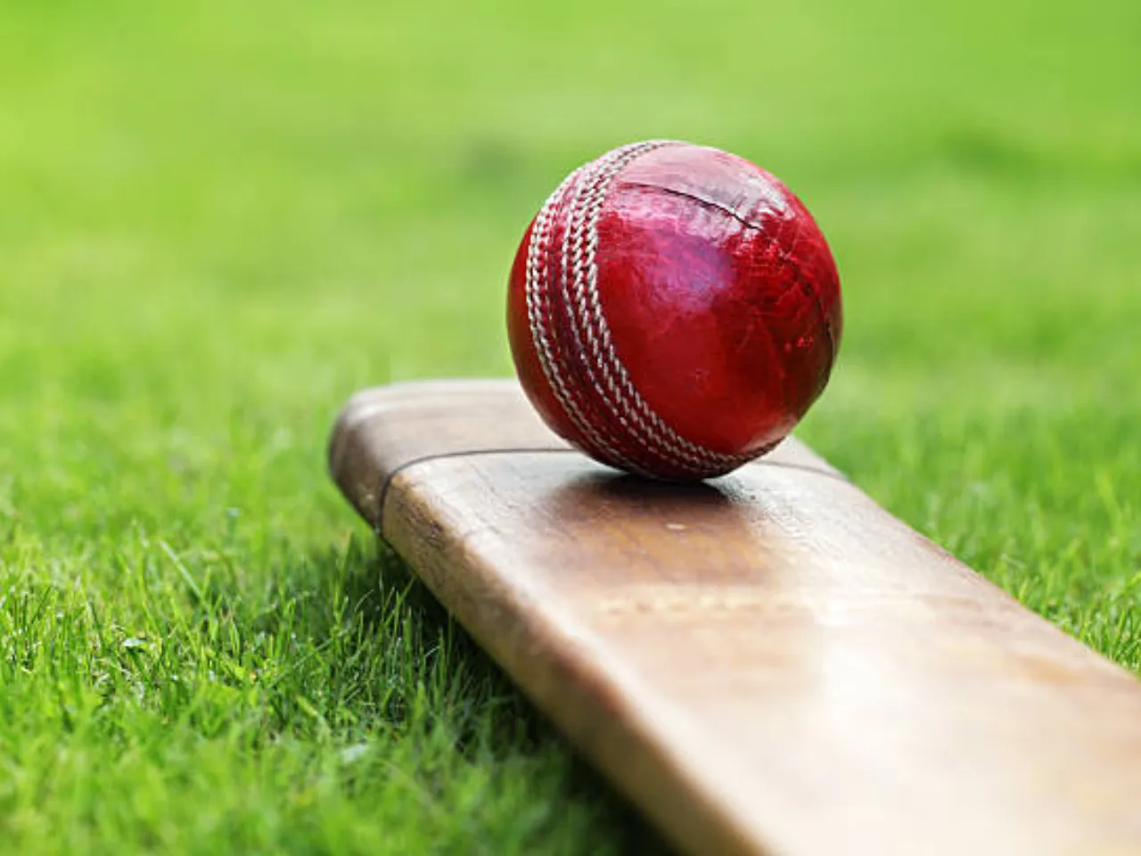Cricket