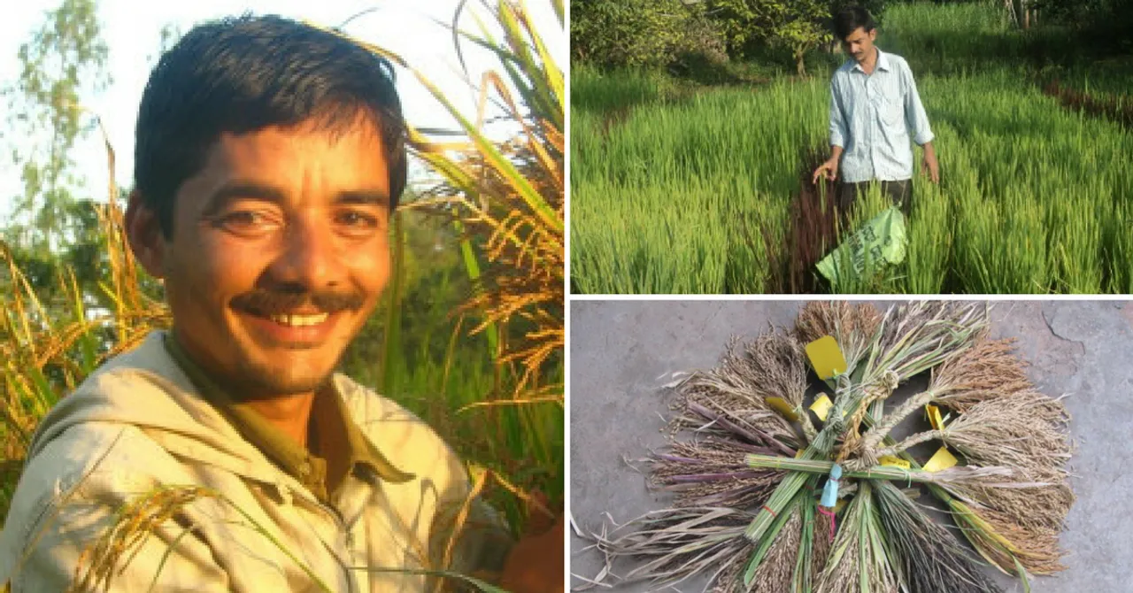 मिलिये इस किसान से जिसने चावल की 850 से भी ज्यादा किस्मों को सहेज कर म्यूज़ियम बना डाला।